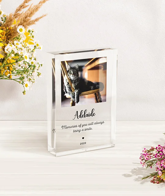 Product Photo 2