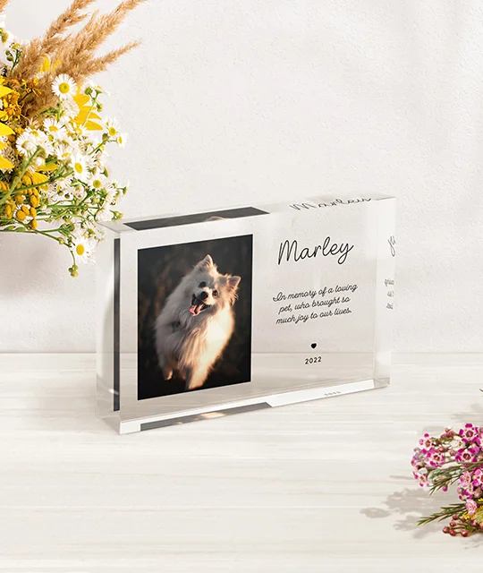 Product Photo 5
