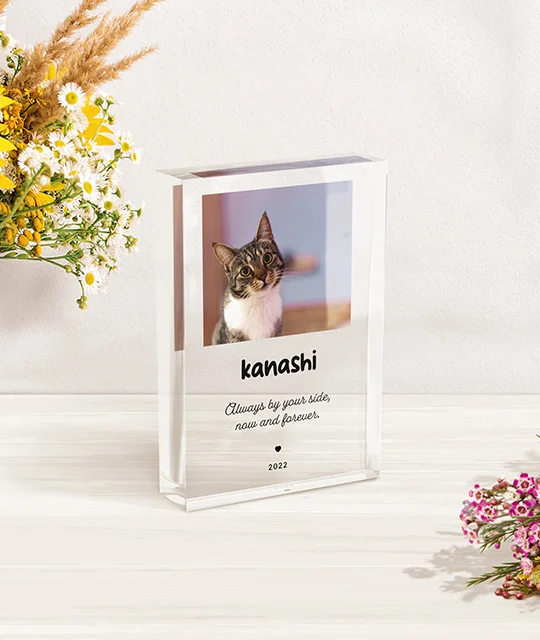 Product Photo 6