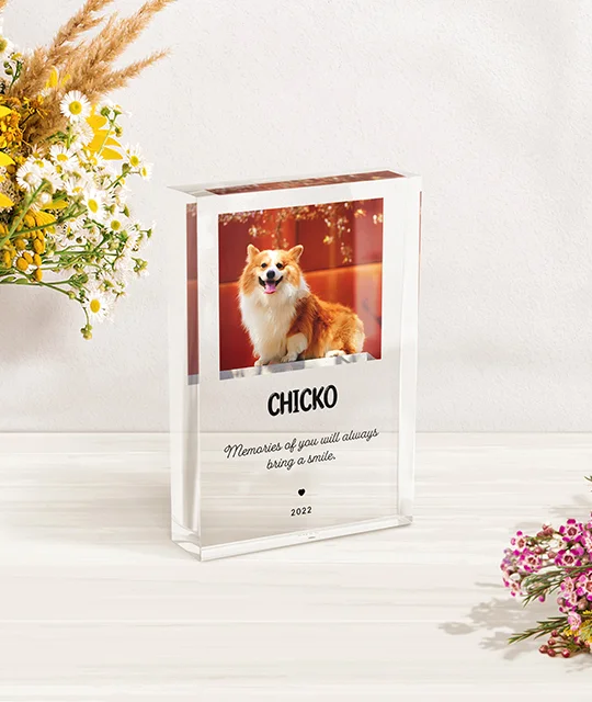 Product Photo 7