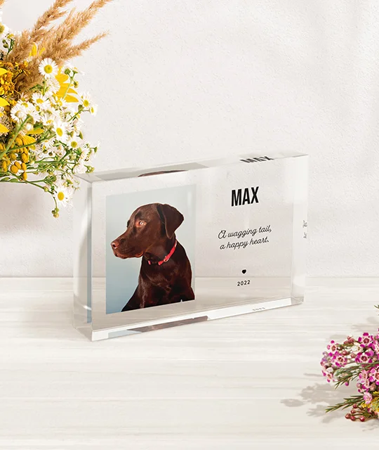 Product Photo 8