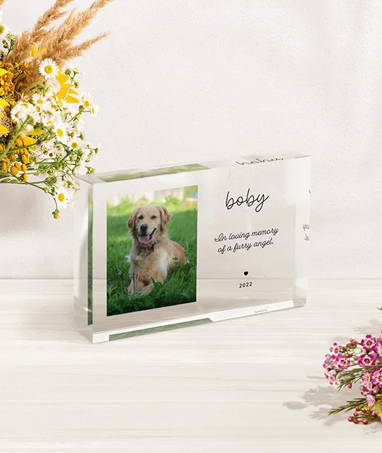 Product Photo 9