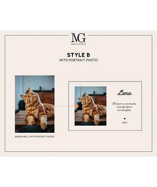 Product Photo 14